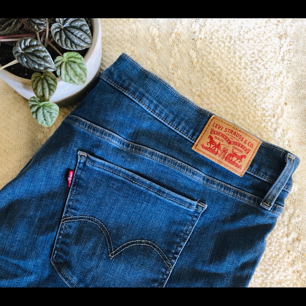 Levi’s 310 Skinny Jeans